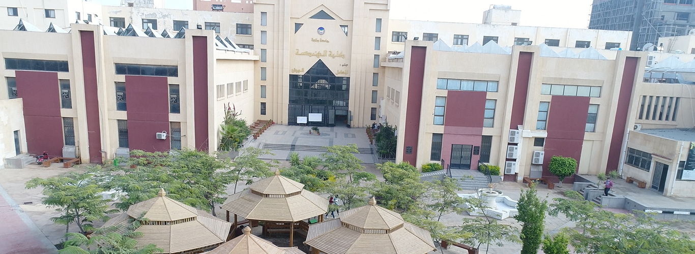 tanta university